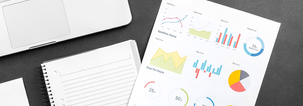 Biz Planner kontakt